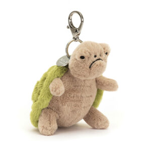 Amuseable Timmy Turtle